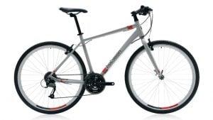 Polygon Bikes Adult Path 2 Bicycle Review